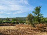 Maison à construire à Camps-la-Source (83170) 2573073-10746annonce120260703EDSVV.jpeg Maisons France Confort
