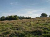 Terrain à bâtir à Saint-Pierre-de-Chignac (24330) 2613928-11794annonce120260901zwq2l.jpeg Maisons France Confort