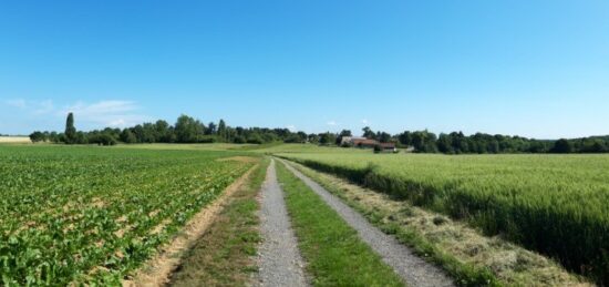 Terrain à bâtir à Chevreuse, Île-de-France