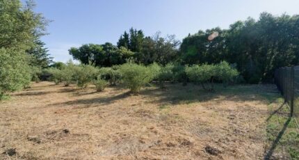 Villevieille Terrain à bâtir - 2613312-609annonce220260901H0VPZ.jpeg Maisons France Confort