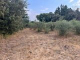 Terrain à bâtir à Villevieille (30250) 2613312-609annonce3202609014bdBX.jpeg Maisons France Confort