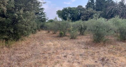 Villevieille Terrain à bâtir - 2613312-609annonce3202609014bdBX.jpeg Maisons France Confort