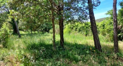 Garéoult Terrain à bâtir - 2659217-11137annonce220261001lJ32f.jpeg Maisons France Confort