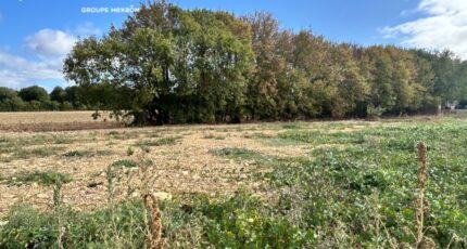Le Thou Maison neuve - 2657296-9644annonce1202609225mtQf.jpeg Maisons France Confort