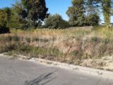 Terrain à bâtir à Morschwiller-le-Bas (68790) 2653950-11944annonce120260929xg3JG.jpeg Maisons France Confort