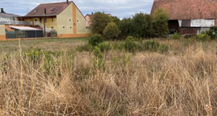 Durrenentzen Maison neuve - 2658364-11945annonce120261001ctPV4.jpeg Maisons France Confort