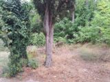 Terrain à bâtir à Saint-Cannat (13760) 2659669-11041annonce120261002TXsBk.jpeg Maisons France Confort