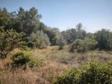 Terrain à bâtir à Brignoles (83170) 2659627-11039annonce1202610020f1t8.jpeg Maisons France Confort