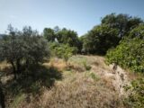 Terrain à bâtir à Brignoles (83170) 2659627-11039annonce220261002RttTt.jpeg Maisons France Confort