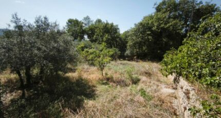 Brignoles Terrain à bâtir - 2659627-11039annonce220261002RttTt.jpeg Maisons France Confort