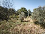 Terrain à bâtir à Brignoles (83170) 2659627-11039annonce320261002pSghK.jpeg Maisons France Confort