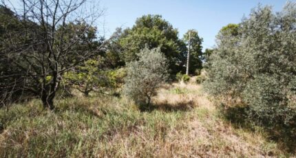 Brignoles Maison neuve - 2659628-11039annonce320261002pSghK.jpeg Maisons France Confort