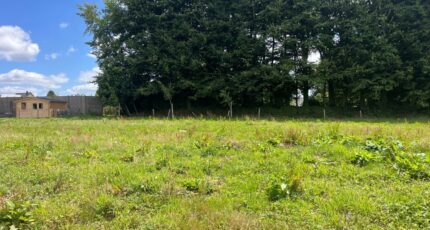 Sauchay Maison neuve - 2657839-11168annonce120261001qnSTD.jpeg Maisons France Confort