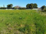 Maison à construire à Sorgues (84700) 2615832-695annonce2202609028rGRv.jpeg Maisons France Confort