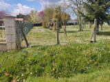 Maison à construire à Arveyres (33500) 2659655-11958annonce120261002JvNHA.jpeg Maisons France Confort