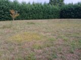 Terrain à bâtir à Lisle (24350) 2661607-9455annonce320261003yLVbK.jpeg Maisons France Confort
