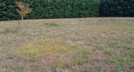 Lisle Terrain à bâtir - 2661607-9455annonce320261003yLVbK.jpeg Maisons France Confort