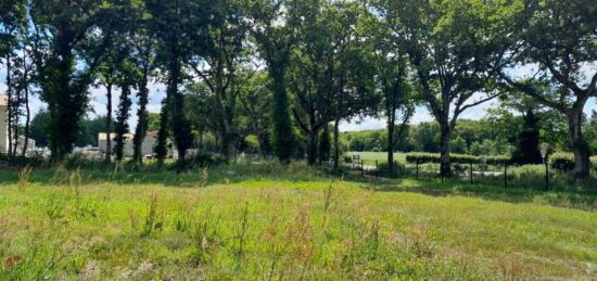 Terrain à bâtir à Saint-Père-en-Retz, Pays de la Loire