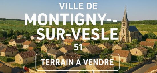 Terrain à bâtir à Montigny-sur-Vesle, Grand Est
