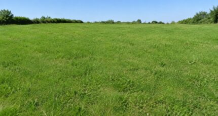 Saint-Selve Terrain à bâtir - 2648269-11306annonce1202609249QXpq.jpeg Maisons France Confort