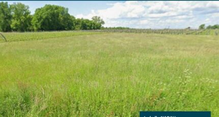 Saugon Terrain à bâtir - 2658815-11516annonce120261001qpUXZ.jpeg Maisons France Confort