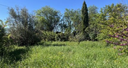 Trausse Terrain à bâtir - 2615599-10986annonce120260902H6ZwX.jpeg Maisons France Confort