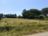 Terrain à bâtir à Brugairolles (11300) 2616658-10986annonce1202609028b9h3.jpeg Maisons France Confort