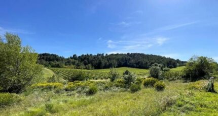 Villeneuve-Minervois Maison neuve - 2553714-10986annonce120260617fgcWL.jpeg Maisons France Confort