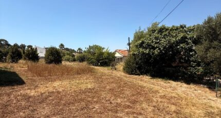 Six-Fours-les-Plages Maison neuve - 2662355-11136annonce320261005OfsRN.jpeg Maisons France Confort