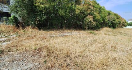 Aussonne Maison neuve - 2610759-9555annonce120260828vu5rD.jpeg Maisons France Confort