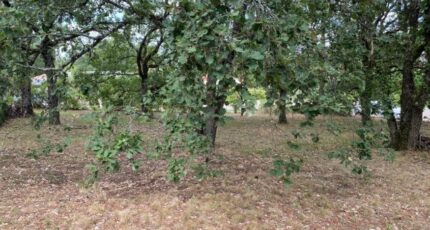 Bouloc Maison neuve - 2619407-11913annonce120260903R7gyw.jpeg Maisons France Confort
