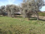 Maison à construire à Oraison (04700) 2662476-9917annonce120260323yET2y.jpeg Maisons France Confort