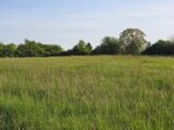 Terrain à bâtir à Lalandusse (47330) 2593670-7107annonce420260730Ahhpn.jpeg Maisons France Confort