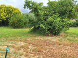 Maison à construire à Thil (31530) 2659784-9555annonce120261002sP2BT.jpeg Maisons France Confort