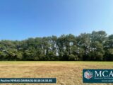 Terrain à bâtir à Vielle-Tursan (40320) 2663619-5828annonce120250310DxkDy.jpeg Maisons France Confort