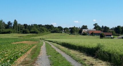 Boullay-les-Troux Terrain à bâtir - 2663781-11790annonce120260422I6u20.jpeg Maisons France Confort