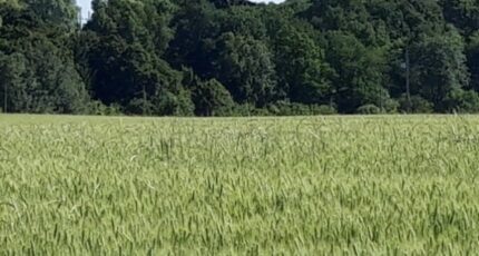 Boullay-les-Troux Terrain à bâtir - 2663781-11790annonce3202604228TMIM.jpeg Maisons France Confort