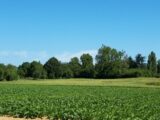 Terrain à bâtir à Mareil-le-Guyon (78490) 2663779-11790annonce220261005fBdMv.jpeg Maisons France Confort