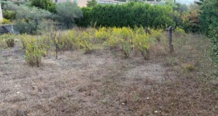 Pourrières Terrain à bâtir - 2663827-7060annonce320261005Vk6s9.jpeg Maisons France Confort