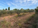 Terrain à bâtir à Pourrières (83910) 2663805-7060annonce120261005eFOTh.jpeg Maisons France Confort