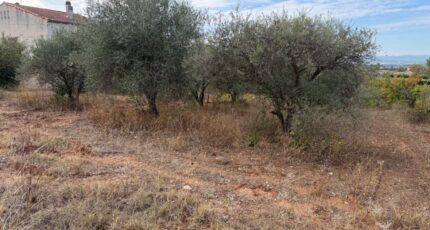Pourrières Terrain à bâtir - 2663805-7060annonce320261005XcAqT.jpeg Maisons France Confort