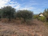 Terrain à bâtir à Pourrières (83910) 2663805-7060annonce420261005MF6av.jpeg Maisons France Confort