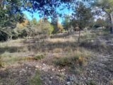 Terrain à bâtir à Artignosc-sur-Verdon (83630) 2663716-10152annonce120261005d5lMB.jpeg Maisons France Confort