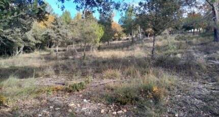 Artignosc-sur-Verdon Terrain à bâtir - 2663716-10152annonce120261005d5lMB.jpeg Maisons France Confort