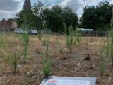 Maison à construire à Longué-Jumelles (49160) 2663980-11896annonce1202610069dWzX.jpeg Maisons France Confort