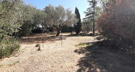 Flayosc Maison neuve - 2662574-10295annonce120260917q9h24.jpeg Maisons France Confort