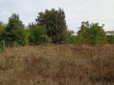 Maison à construire à Blanquefort (33290) 2664022-11596annonce120261006ix1bo.jpeg Maisons France Confort