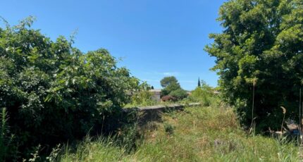 Solliès-Pont Terrain à bâtir - 2664587-11136annonce120261006wZD2C.jpeg Maisons France Confort