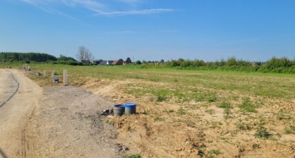 Coulogne Terrain à bâtir - 2664637-11991annonce120261006QwdJP.jpeg Maisons France Confort