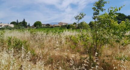 Mormoiron Maison neuve - 2666568-695annonce420261007W03ND.jpeg Maisons France Confort
